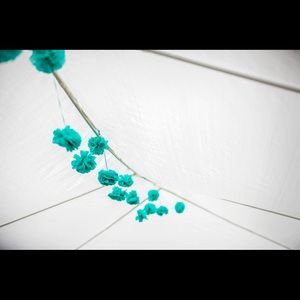 Meet your Posher, Sonam